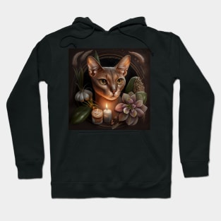 Abyssinian Cat Ritual Hoodie